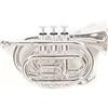 GEWA Roy Benson Bb pocket trumpet PT-101S (placcata in argento, con leadpipe in ottone dorato e valvole in acciaio inossidabile, custodia rettangolare leggera inclusa, per il musicista elegante)
