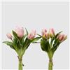 EDG Enzo de Gasperi Tulipano Olis gommoso, Fiore Artificiale per Decorazione, Bouquet 5 Tulipani Finti H28 cm 2 Varianti(1pz) Rosa