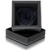 Aluisi Fiori Rosa Stabilizzata Nera in Cofanetto Nero - Rosa Stabilizzata Vera - Rosa Eterna - Fiore Stabilizzato - Fiori Stabilizzati - Simbolo di Mistero ed Eleganza - Idea Regalo