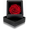 Aluisi Fiori Rosa Stabilizzata Rossa in Cofanetto Nero - Rosa Stabilizzata Vera - Rosa Eterna - Fiore Stabilizzato - Fiori Stabilizzati - Simbolo di Amore e Passione - Idea Regalo