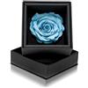 Aluisi Fiori Rosa Stabilizzata Celeste in Cofanetto Nero - Rosa Stabilizzata Vera - Rosa Eterna - Fiore Stabilizzato - Fiori Stabilizzati - Simbolo di Comunicazione e LEALTÀ - Idea Regalo