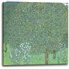 Printed Paintings Stampa su Tela Gustav Klimt - Rose tra Gli Alberi (1905)