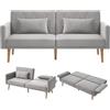 Azkoeesy Divano Letto a 2 Posti in Velluto con 2 Cuscini Inclusi, Schienale e Braccioli Reclinabili, Modello Convertibile per Soggiorno e Camera da Letto, 180x75x82 cm, Portata 150 kg Grigio Chiaro