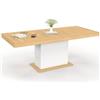 IDMarket - Tavolo da pranzo rettangolare allungabile EDEN 6-10 persone in legno e bianco 160-200 cm