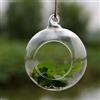 Generic Portacandele a sfera, da appendere, in vetro, per matrimoni, feste di Natale, decorazione (12 cm)