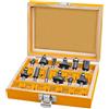 Ingco Bakaji Set Completo 12 Frese Fresa Punte Rotanti Fora Legno con Custodia Contenitore Codolo 6mm INGCO PROFESSIONAL per scanalature rifiniture legname