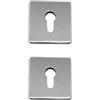 DACAN PROTECTION Rosette Quadrate per Serratura, Foro Cilindro Yale, 2 Pezzi, Cromo Satinato, 10mm x 5mm