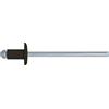 nextradeitalia 1000PZ RIVETTI ALLUNGABILE TESTA DI MORO 3,4X09