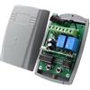 Dieffematic RX2N-BOX Scheda Radio Bicanale - Ricevitore 433,92 MHz con Antenna Integrata - Alimentazione 12V 24V Professionale