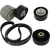 SKF VKMA 32033 Kit Multi-V | Compatibile con: FIAT IDEA, IDEA Van, PUNTO, PUNTO Kasten/Schrägheck, LANCIA MUSA