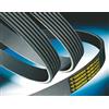 CONTITECH 8PK1100 Cinghia servizi