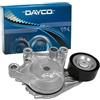 DAYCO APV3797 Tendicinghia Cinghia Poly-V per DS DS 3