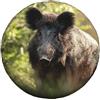 NIBABAEU Copertura per ruota di scorta, stampa occhio di cinghiale a occhio, impermeabile e antipolvere copriruota borsa per pneumatici da 15 pollici