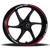 Generico Adesivi Cerchioni Moto Set Completo per 2 Ruote 17 Pollici Strisce Cerchi Custom Vari Colori universale Mod.7 cod.RT007 (Modello 4)