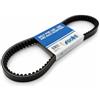 POLINI 248.115 - CINGHIA DI TRASMISSIONE COMPATIBILE CON SH 125/150 CHIOCCIOLA 125 NES 150 BALI 125/150 DYLAN 125 150 KEEWAY OUTLOOK 125 KEEWAY OUTLOOK 150 PANTHEON 125 150 PS 125i 150i S WING 125 150