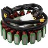 TGVSELPJ Parte dello statore magneto 31120-MBW-J21Bobina Statore Magneto Generatore Motocicletta Per Honda CBR 600F 2001-2006 CBR600F VR Per SPECIAL 2001-2002 Per EDITION