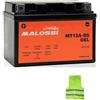 CLICK & GO COMPATIBILE CON SUZUKI AN Burgman 250 per anno 2003 al 2006 BATTERIA YT12A-BS MALOSSI IN GEL MT12A-BS FORNITA CARICA E PRONTA ALL'USO BATTERIE 10 AH AMPERE 12 VOLT 150X88X105MM