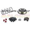 MotoCapuano 5113363 VARIATORE MALOSSI MULTIVAR MALAGUTI 50 F12R F10 WAP KEEWAY CPI