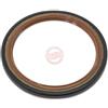MASTER-SPORT Paraolio Albero a gomiti 80x 100x