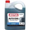 Motul 109140 - Liquido antigelo AUTO COOL EXPERT -37ºC