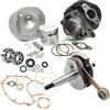 Generico KIT MODIFICA 102 50 SPECIAL PK S XL R L N APE 50 GRUPPO TERMICO CILINDRO DR + ALBERO MOTORE ANTICIPATO + CUSCINETTI PARAOLI E GUARNIZIONI