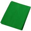 Veemoon Sfondo Fotografico Verde 1,5x2 M, Fondale Per Fotografi, Resistente Ed Ecologico, Orlo Rinforzato Anti-sfilacciatura, Per Studio Fotografico e Video Professionali
