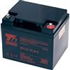 T6 Power Batteria T6 Power per NP12-45, 12V, 45Ah