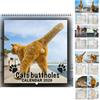 Generico Calendario 2026 | Calendario Gatti con Palline 2026,Organizzatore Familiare Planner Per Cucina Ufficio Casa Agenda Annuale