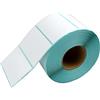 DynaSun 1300 Etichette Termiche Adesive 100 x 50mm Rotolo anima 25mm per Stampanti Zebra Citizen TSC