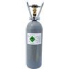 ich-zapfe.de Bombola di CO2 - Bombola di stoccaggio riutilizzabile con anidride carbonica E290 - Bombola di anidride carbonica per sistema di erogazione (2 kg)