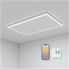 byecold Riscaldamento a infrarossi montaggio a soffitto 700 Watt, riscaldamento a soffitto a infrarossi con illuminazione LED, riscaldamento a infrarossi da soffitto con termostato, controllo con app