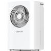 Colaze Deumidificatore 12L/24h Deumidificatore Elettrico Adatto per Superfici fino a 120m³ (30m²) Deumidificatore con Scongelamento Automatico e Allarme Livello Acqua Rumorosità Inferiore a 36dB per