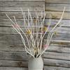 DongArts Ramo di salice riccio essiccato naturale, 20 pezzi, bastoncini bianchi ritorti decorativi da 53,3 cm con palline colorate Craspedia Billy 8 pezzi per decorazioni per la casa e le feste