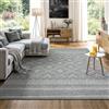 the carpet Calgary - tappeto per interni robusto e facile da pulire, ideale per soggiorno, cucina o sala da pranzo, adatto anche per esterni - Grigio-Diamante, 120 x 160 cm