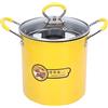 Zenithaur 3L Mini pentola friggitrice con cestino, pentola giapponese, coperchio a portata di olio in acciaio inossidabile per domestica