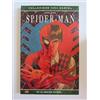 PANINI SPA Da un grande potere... Spider-Man