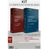 Dike Giuridica Kit Compendio di diritto civile+Compendio di diritto amministrativo. Ediz. maior