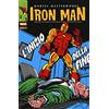 Panini Comics L'inizio della fine. Iron Man (Vol. 5)