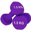 Bricozone Pesi Palestra in Casa Fitness e Palestra Manubri e Pesi Fitness Pesi per Palestra Manubrio (Set di 2 x 1.5KG)