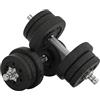 HOMCOM Set Manubri Palestra 30kg (8x2.5 kg, 4x1.5 kg), Pesi Palestra con 12 Dischi e 2 Manubri da 2 kg per Allenamento a Casa, Nero