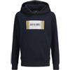 JACK & JONES Junior Jjhayato Sweat Hood Jnr, Sky Captain, 164