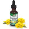 Nature's Answer Mullein, Alcohol-Free, 2000 mg (30 ml) - Nature's Answer