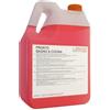 ALLEGRINI Detergente Bagno Anticalcare Disincrostante Acido Profumato - Allegrini Pronto Bagno - Tanica 5kg