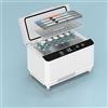 GLIvantad mini Frigo,Frigo per Insulina a temperatura controllata 2-8 °C - Diabete mini Frigo per Medicinali 145x145x230mm - Batteria inclusa