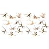 Speesy Mini legni per acquario, rami in legno naturale, decorazioni per acquario, d'albero, legno da pesca assortito (confezione da 20)