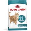 ROYAL CANIN AGEING 11+ | 2 kg | Alimento secco per gatti senior a partire dall'11° anno di età | Formula con il complesso HealthyAge7™ | Contiene crocchette facili da masticare