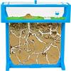 AntHouse - Formicaio T 3D 25x20x1,5 cm | Fattoria di Formiche Azzuro | Formiche Incluse con Regina