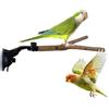 Generico Posatoio per Uccelli con,Trespolo Interattivo per Pappagalli con Ventose Mobili - Trespolo Giocattolo Per Uccelli Da Finestra E Doccia - Per Cacatua Parrocchetti Inseparabili Viaggio Finestra Interno