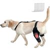 RUYICZB Tutori per Zampe Posteriori del Cane, Tutore per Ginocchio del Cane per Legamento Crociato Anteriore Strappato, Zampa Posteriore con Stabilizzatore Laterale Supporto,S