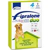 Formevet Fipralone Duo 268 Mg/80 Mg Soluzione Spot-on per Cani di Taglia Grande da 20 a 40 Kg